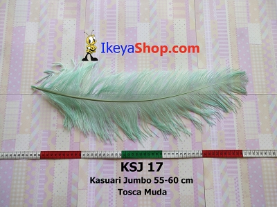 KSJ 17  large2